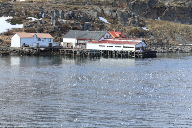 Havøysund, Norwegen ©Horst Reitz