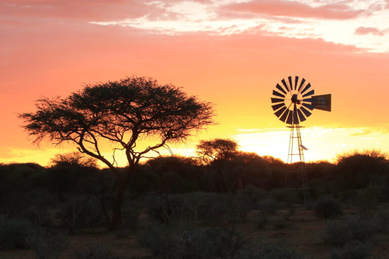 Afrika Safari ©Horst Reitz