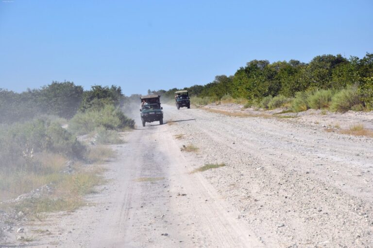 Safarieindrücke in Afrika