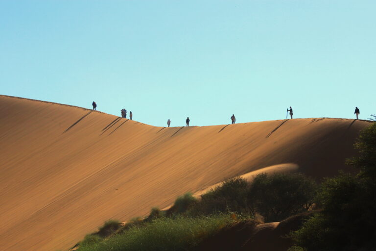 Afrika Safari Namibia ©Horst Reitz