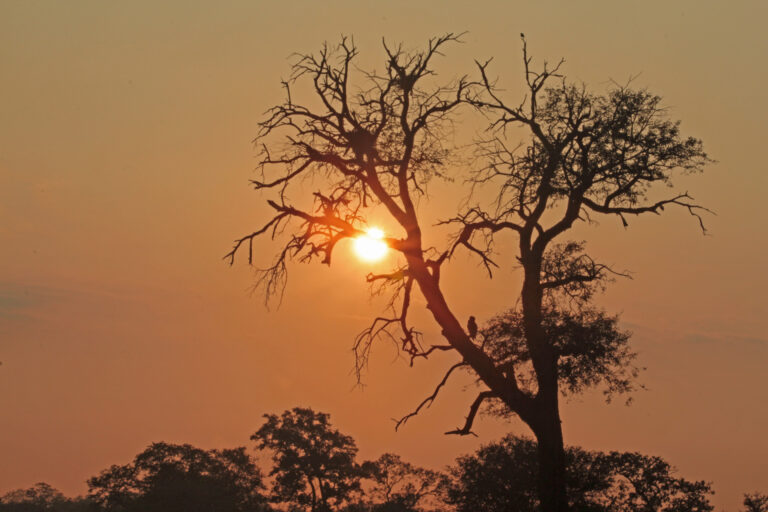 Afrika Safari Namibia Sonnenuntergang ©ExtraHR