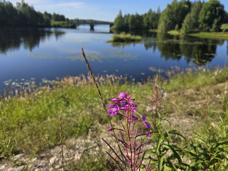 Bei Rovaniemi Finnland 2024