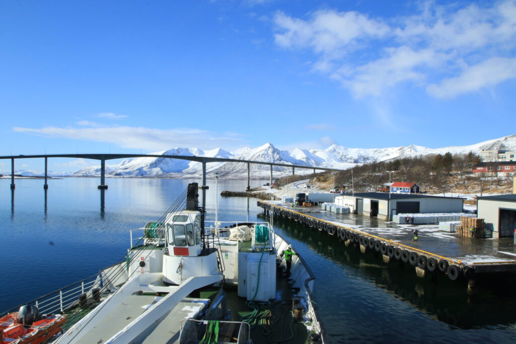 Risøyhamn, Westeraelen
