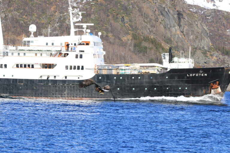 MS Lofoten bei Svolvær, Lofoten