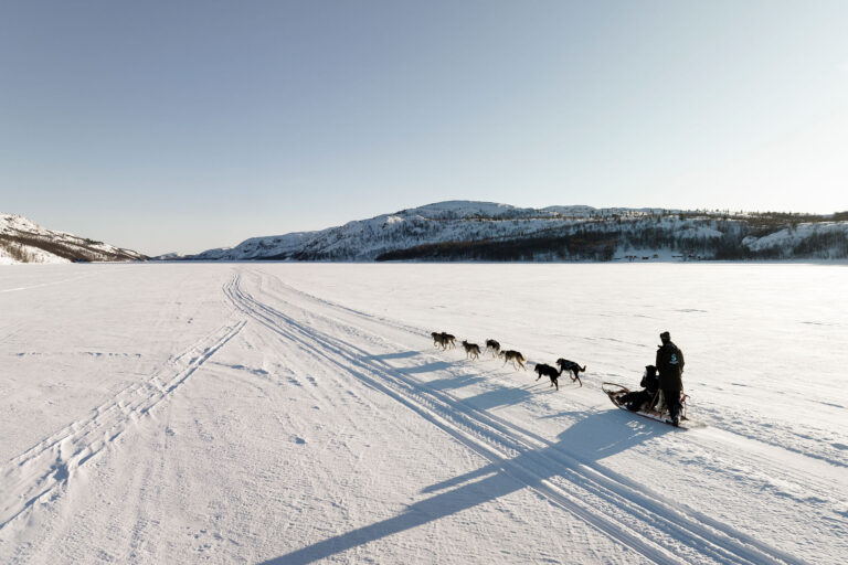 Excursion Schlittenhundene