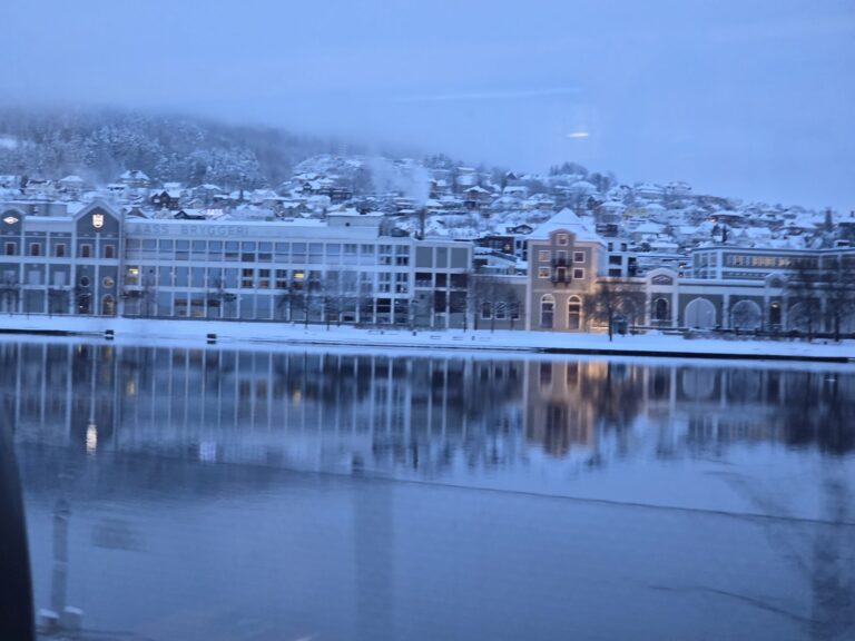 Polarlichter Reise Jan 2026