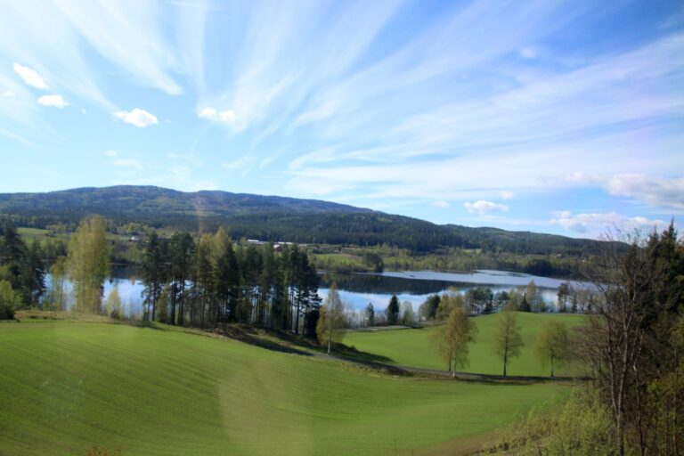 NSB Bergensbahn Oslo-Bergen