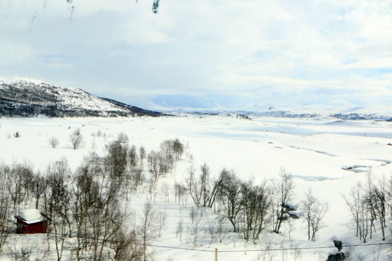 NSB Bergensbahn Oslo-Bergen