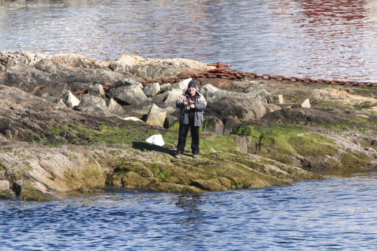 Angler