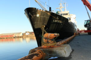 MS Lofoten in Svolvær, Lofoten