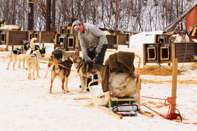 Norwegen Husky Schlittenfahrt ©Horst Reitz