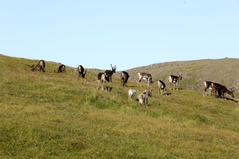 Nordkapp Norway, Ziel Erreicht 2024