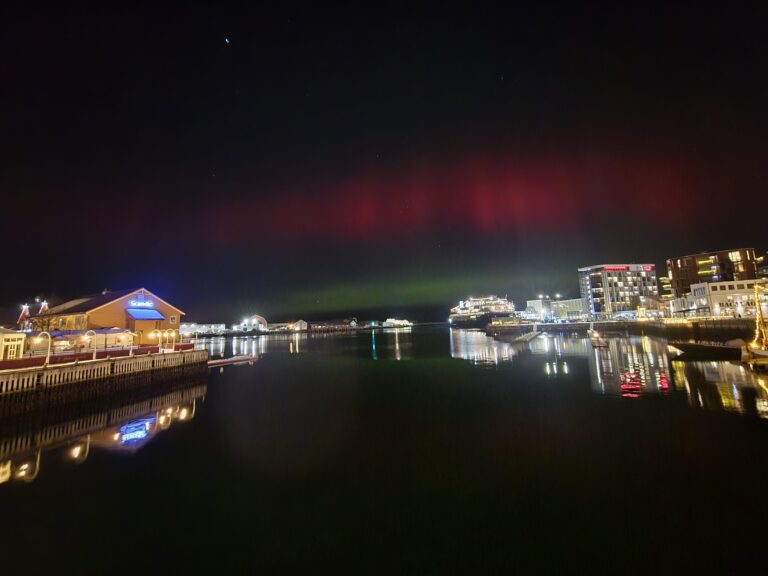 Polarlichter Reise Jan 2026 Nordlicht ©Horst Reitz