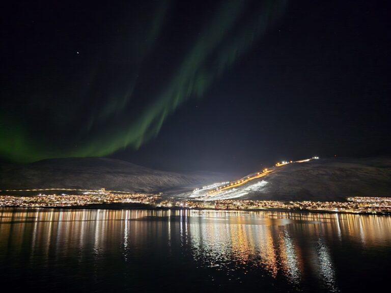 Polarlichter Reise Jan 2026 Nordlicht ©Horst Reitz