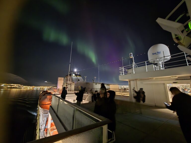 Polarlichter Reise Jan 2026 Nordlicht ©Horst Reitz