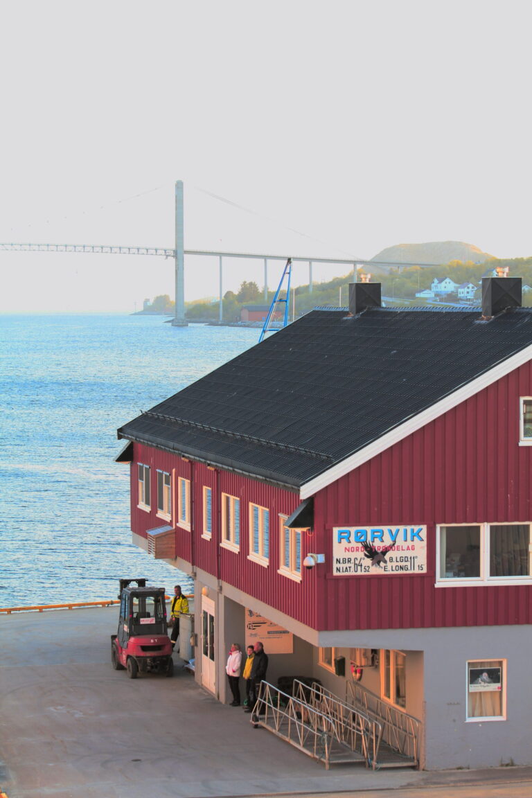 Rorvik