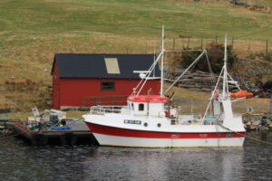 Torvik, Sunmøre Vestland