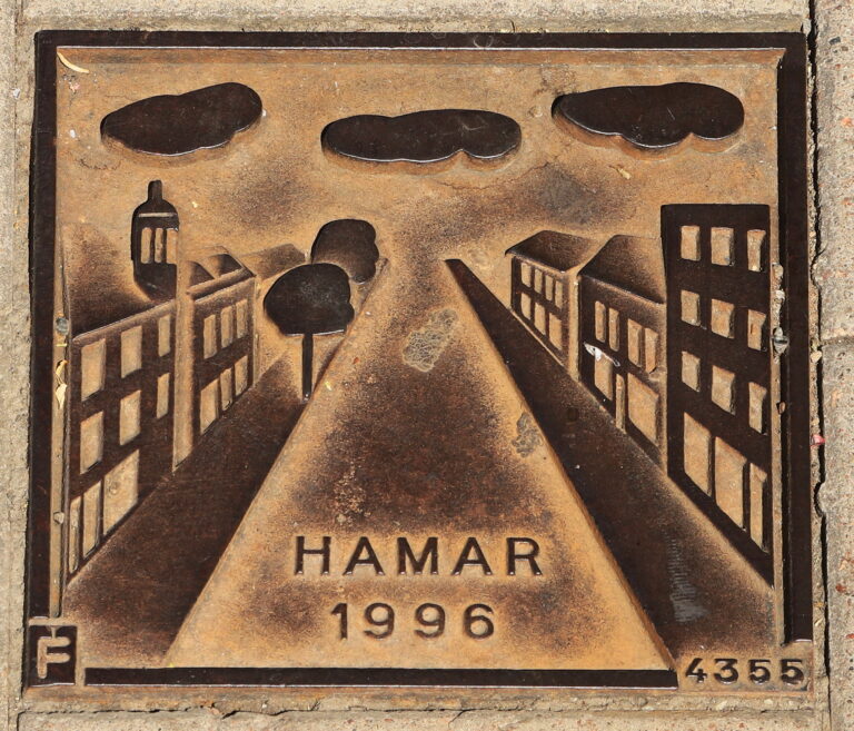 Hamar, Fylke