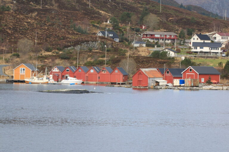 Torvik, Sunmøre Vestland