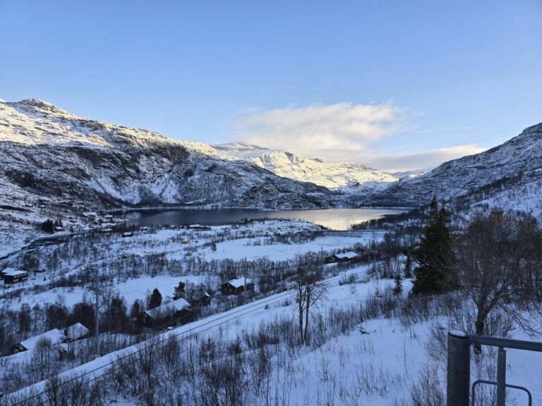 Vatnahalsen Hotel bei Myrdal