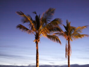 Mauritius, Strand am Indischen Ozean ©ExtraHR
