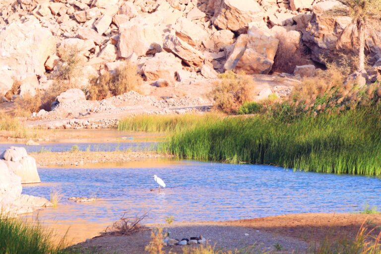 Nahe Nizwa Wadi, Oman