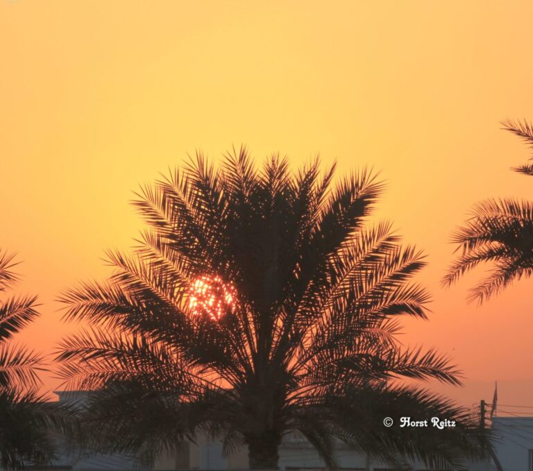 Oman