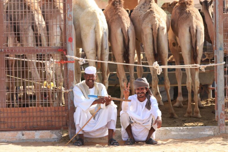 Kamelmarkt in Al Ain Abu Dhabi ©ExtraHR