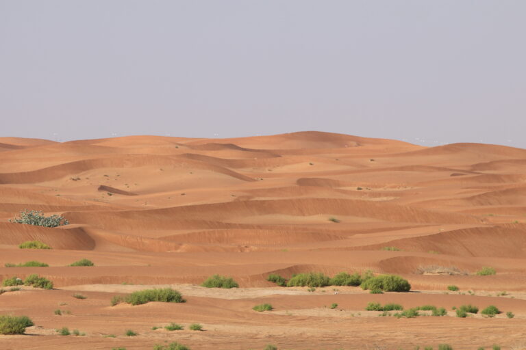 Abu Dhabi
