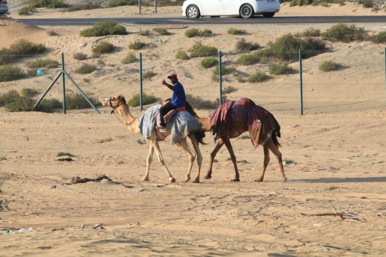 Oman