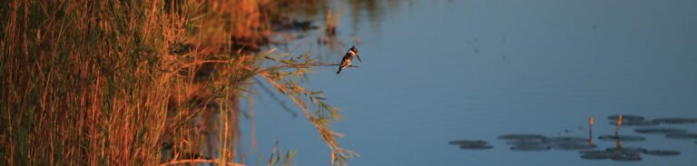 Namibia, Caprivi Streifen