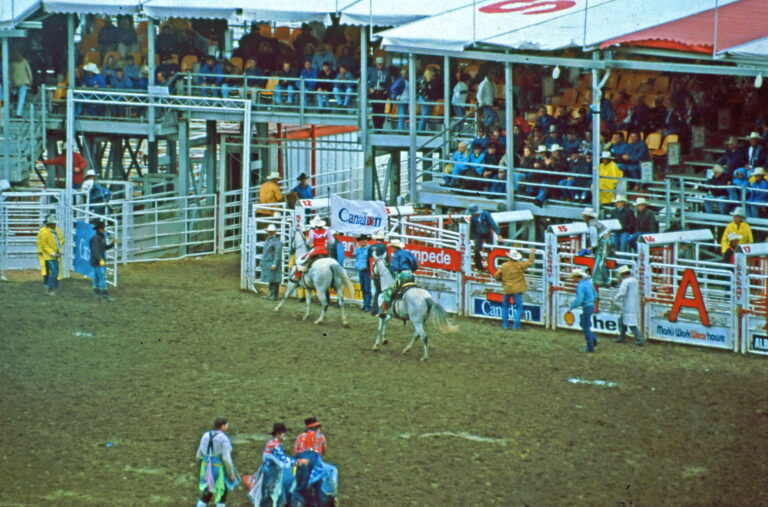 Stampede Calgary Größtes Rodeo in Nordamerika