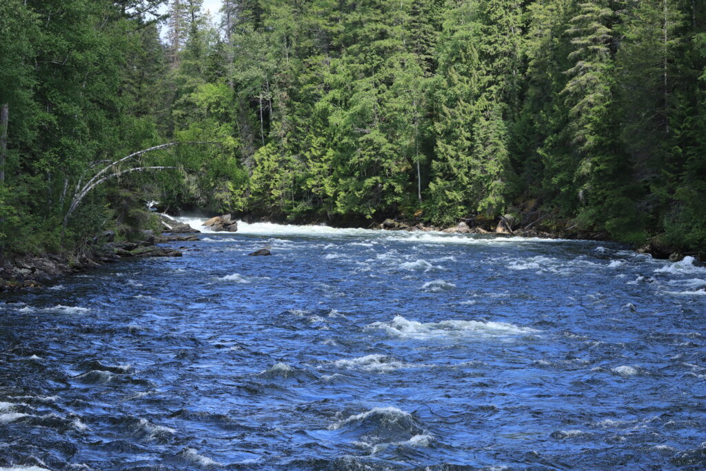 Kanada, Murtle River im Wells Grey NP