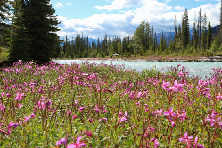 Kanada, Highway 1 Bow River