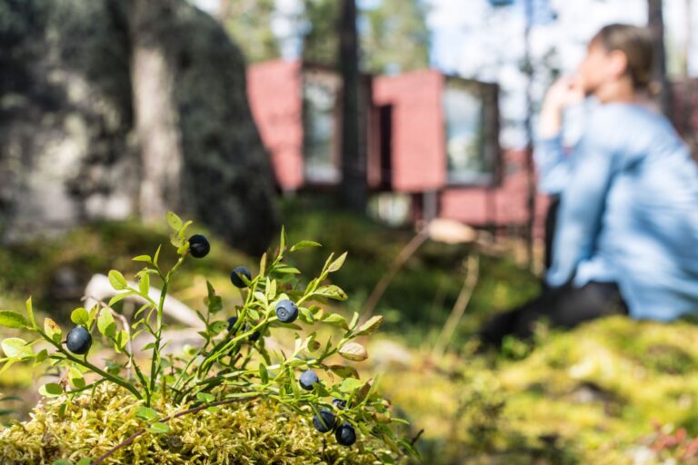Arctic TreeHouse Hotel; Rovaniemi