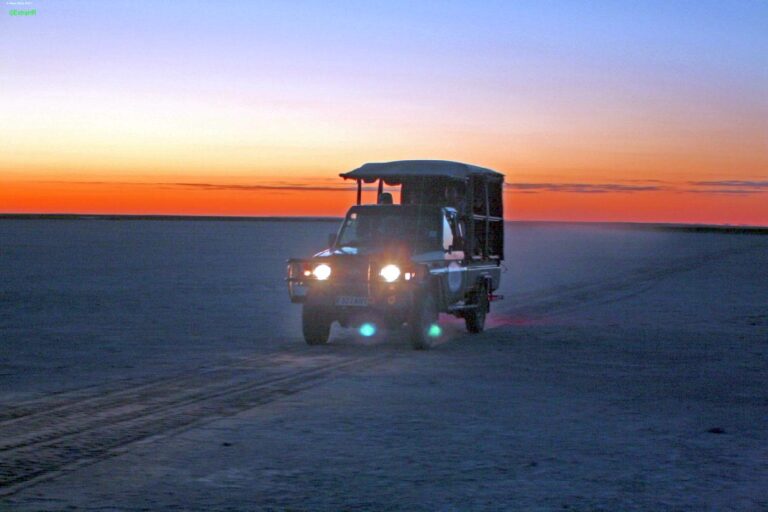 Botsuana Safari