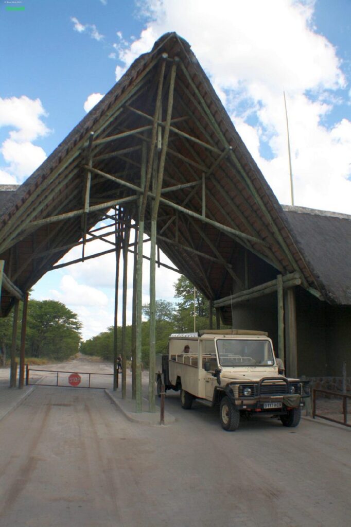 Botsuana Safari