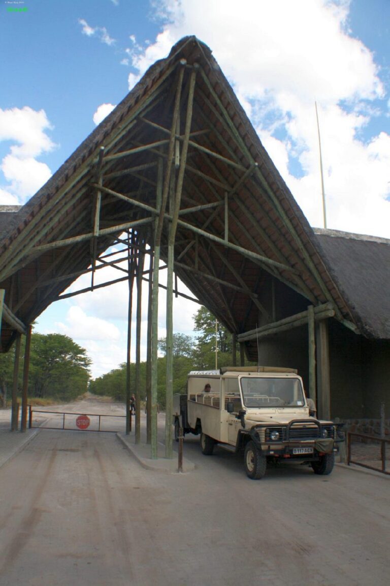 Botsuana Safari