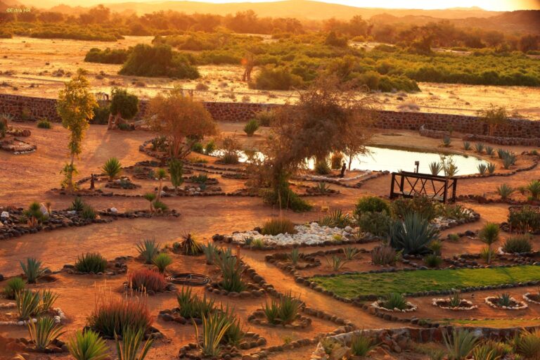Brandberg White Lady Lodge
