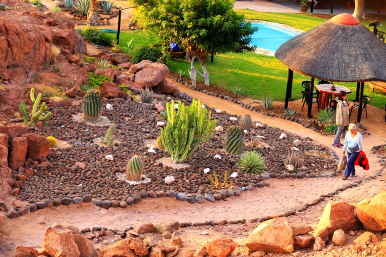 Brandberg White Lady Lodge
