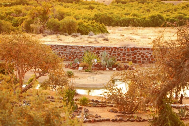Brandberg White Lady Lodge