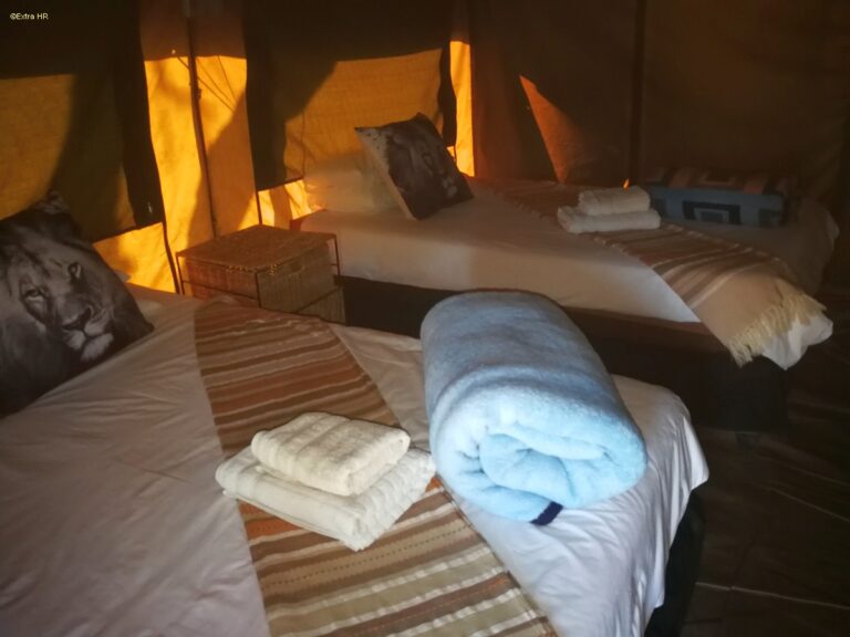 Brandberg White Lady Lodge