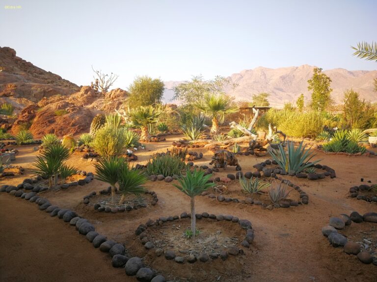 Brandberg White Lady Lodge