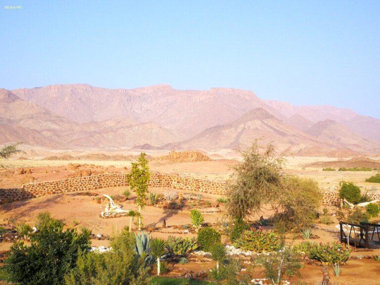 Brandberg White Lady Lodge