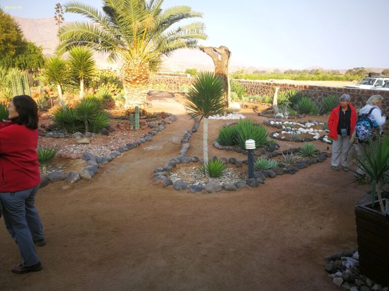 Brandberg White Lady Lodge