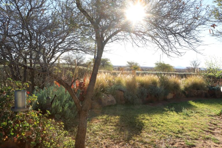 Windhoek Etango Guest Ranch
