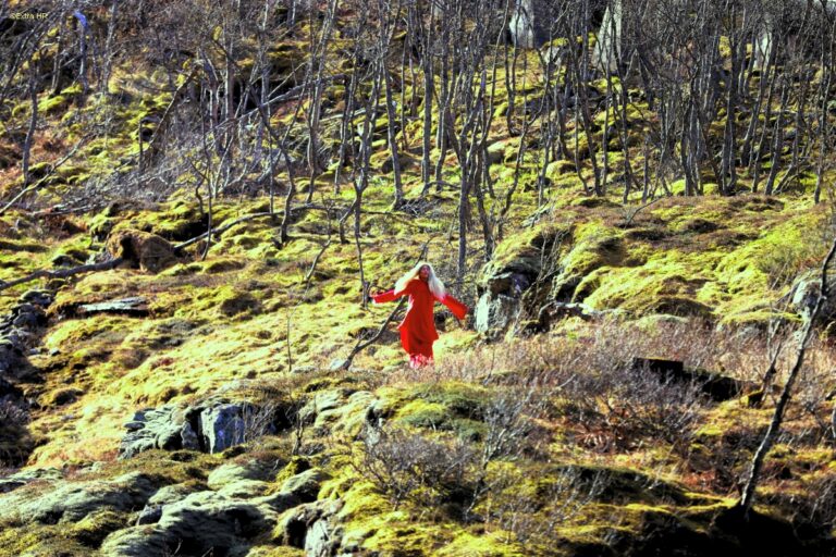 Kjosfossen Flåmsbahn Vatnahalsen ©ExtraHR