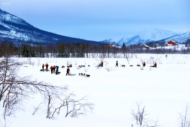Hundeschlitten Camp Tamok Tromsø Winter ©ExtraHR