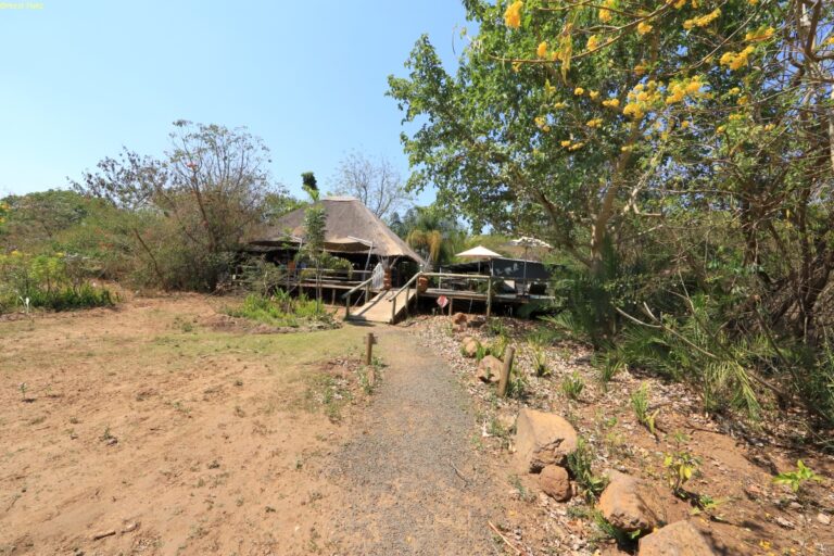 Kasane The Old House