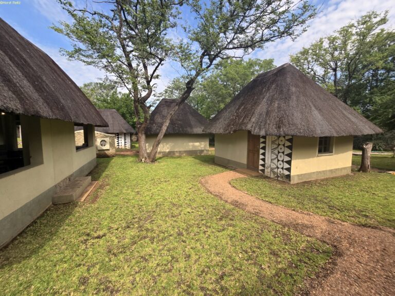 Robins Camp Hwange NP